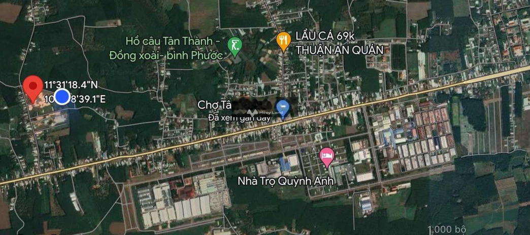 Tân Thành, Bình Phước 680 triệu bán đất có diện tích rộng 245m2