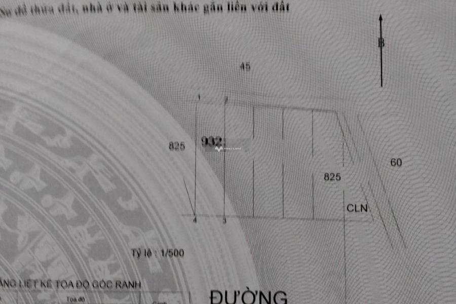 Ở Phú Hữu, Quận 9 bán đất 6.9 tỷ có diện tích trung bình 97m2-01