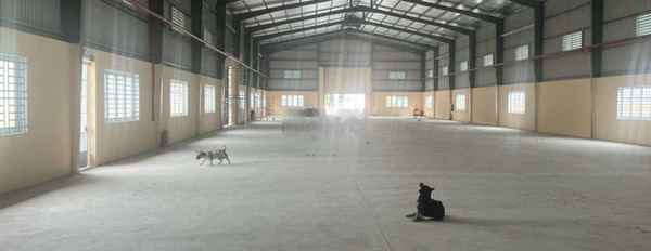 Bán 1500m2 mặt tiền QL14 Cuôr Đăng -02