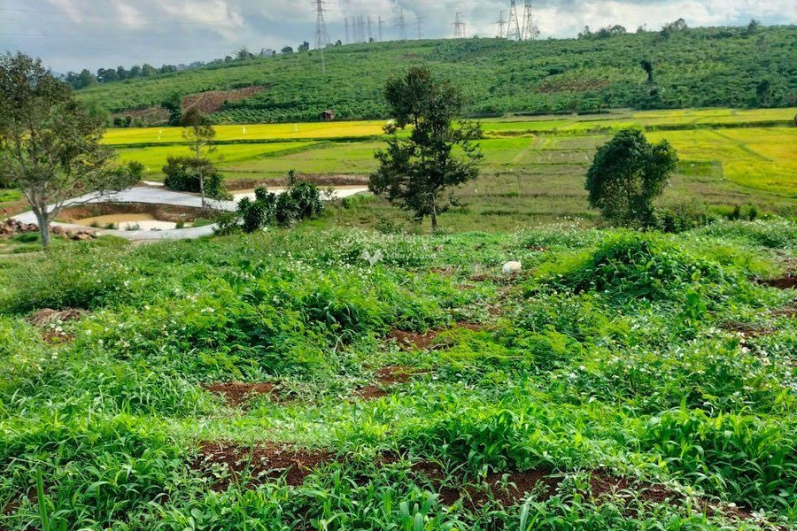 Bán đất 750 triệu Đinh Lạc, Di Linh diện tích đúng với trên ảnh 1000m2-01