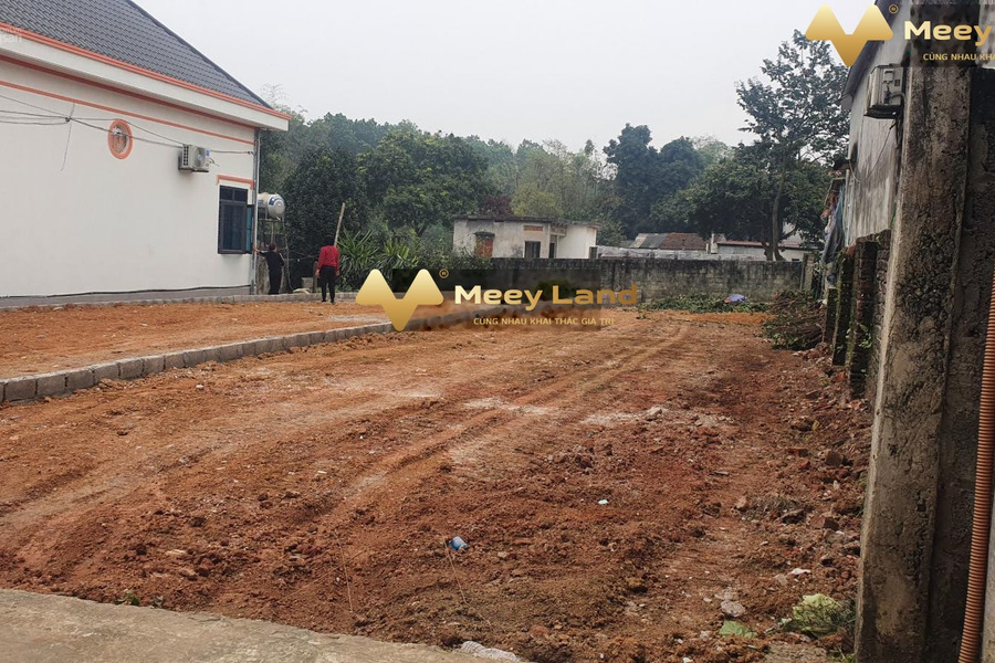 Bán đất thổ cư 200m2 tại Hoà Thạch, khu vực dự án đường DH09 đang thi công-01