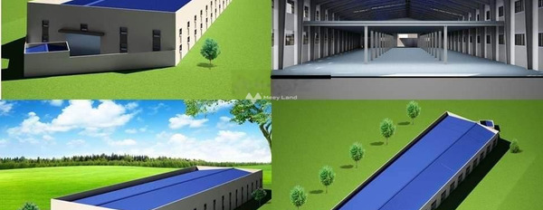 Ngay ở Cây Trôm Mỹ Khánh, Thái Mỹ cho thuê kho bãi 3000m2 thuê ngay với giá thị trường 70 triệu/tháng liên hệ trực tiếp để được tư vấn-03