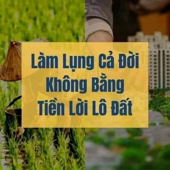 Bán đất huyện Tĩnh Gia tỉnh Thanh Hóa giá 1.15 tỷ-2