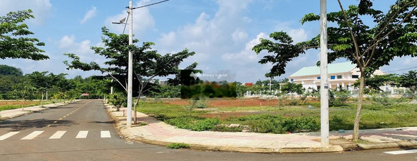 Nằm trong mức 378 triệu bán đất tổng diện tích là 100m2 ở Bù Đăng, Bình Phước, hướng Đông Nam-03
