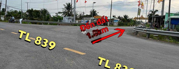 Bán đất 450 triệu Mỹ Thạnh Đông, Long An diện tích đúng với trên ảnh 1000m2-03