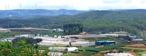 BÁN LÔ ĐẤT 5.400M MẶT TIỀN Q.LỘ 20 XÃ XUÂN TRƯỜNG VIEW RỪNG THÔNG -02