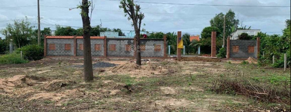 Tôi còn lô đất làm nhà vườn tại xã Phước Hội, Đất Đỏ-02