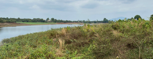 Bán siêu phẩm hồ Suối Vọng, view bao quát cách trung tâm xã Bảo Bình chưa đến 1km-03