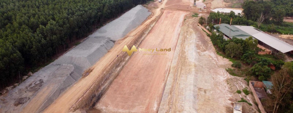 Bán mảnh đất, giá siêu rẻ từ 16,5 tỷ diện tích thực dài 3000m2-02