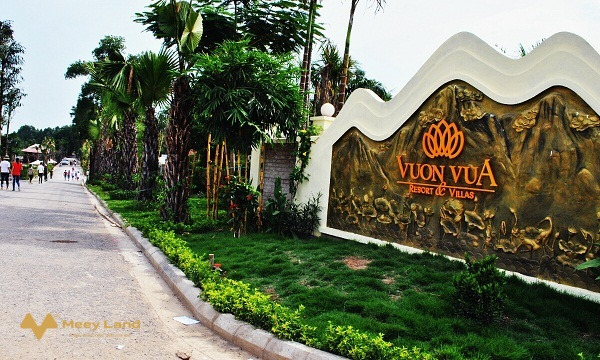 Bán biệt thự khoáng nóng Vườn Vua Resort & Villa view hồ, tự xây, giá cực mềm-01