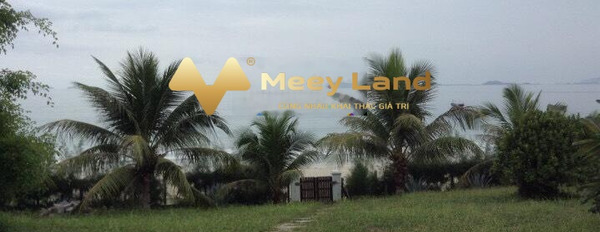 Ninh Hải, Ninh Hòa bán đất giá tốt nhất chỉ 162.5 tỷ, hướng Đông có dt thực là 6500 m2-03
