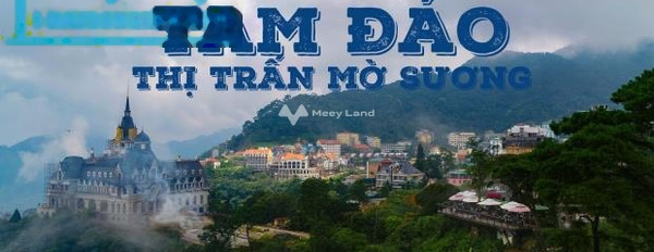 Đang làm ăn lớn bán mảnh đất, 766m2 giá bán đề xuất từ 28.5 triệu vị trí mặt tiền ngay trên Tam Đảo, Vĩnh Phúc, hướng Tây giao thông đông đúc-02