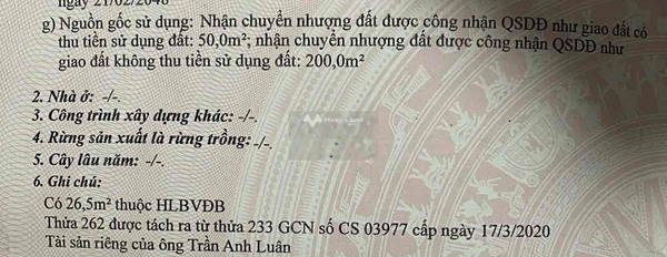 Giá không trung gian 750 triệu, Bán đất diện tích chung là 250m2 vị trí thuận lợi tại Thanh Lương, Bình Long trao đổi trực tiếp-03