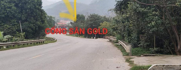 Cần bán nhà riêng huyện Kim Bảng, Hà Nam giá 40 triệu/m2-03