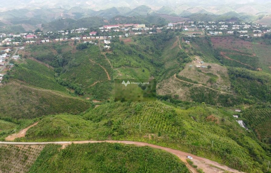 Vị trí ở Đăk Glong, Đắk Nông bán đất, giá mua ngay 250 triệu có diện tích gồm 1000m2-01