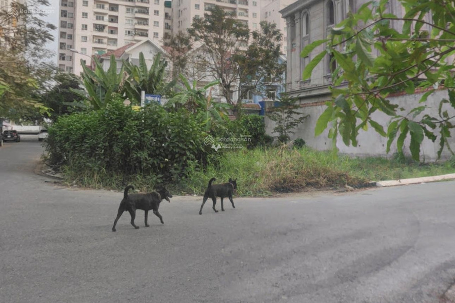 Ngay Tạ Quang Bửu, Hồ Chí Minh bán đất diện tích chuẩn 120m2-01