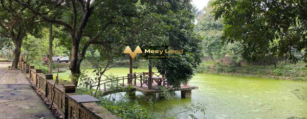 Thị Trấn Lương Sơn, Huyện Lương Sơn 10.5 tỷ bán đất với tổng diện tích 7800 m2-03