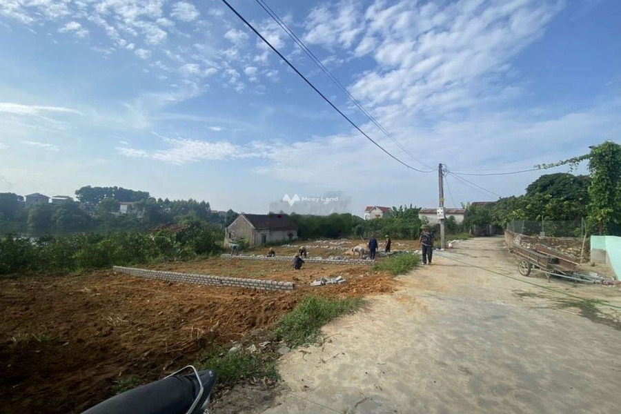 Bán đất tại Lục Nam, Bắc Giang. Diện tích 150m2-01