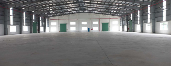 Cho thuê xưởng diện tích theo yêu cầu trong khu công nghiệp Bàu Bàng, Bình Dương-03