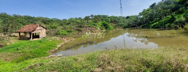 Giá bán cạnh tranh từ 4.6 tỷ bán đất có diện tích chuẩn 21625m2 gần Hòa Phú, Đắk Lắk-03