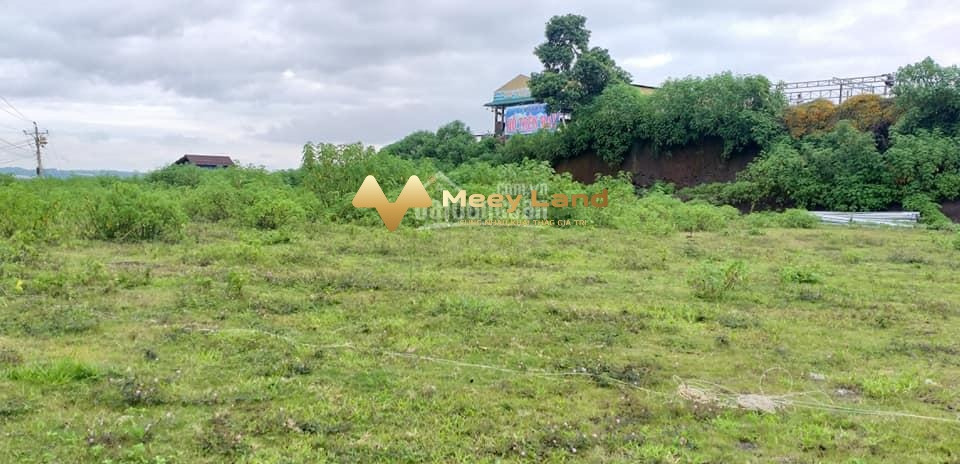 Bán đất giá 6,25 tỷ tại Đà Lạt, tỉnh Lâm Đồng có tổng diện tích 500m2