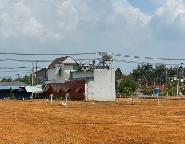 Bán đất diện tích 100m2 tại Trảng Bom, Đồng Nai-01