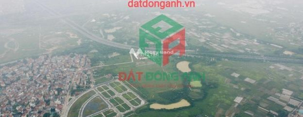 Bán đất trong Uy Nỗ, Đông Anh. Diện tích 115m2-03