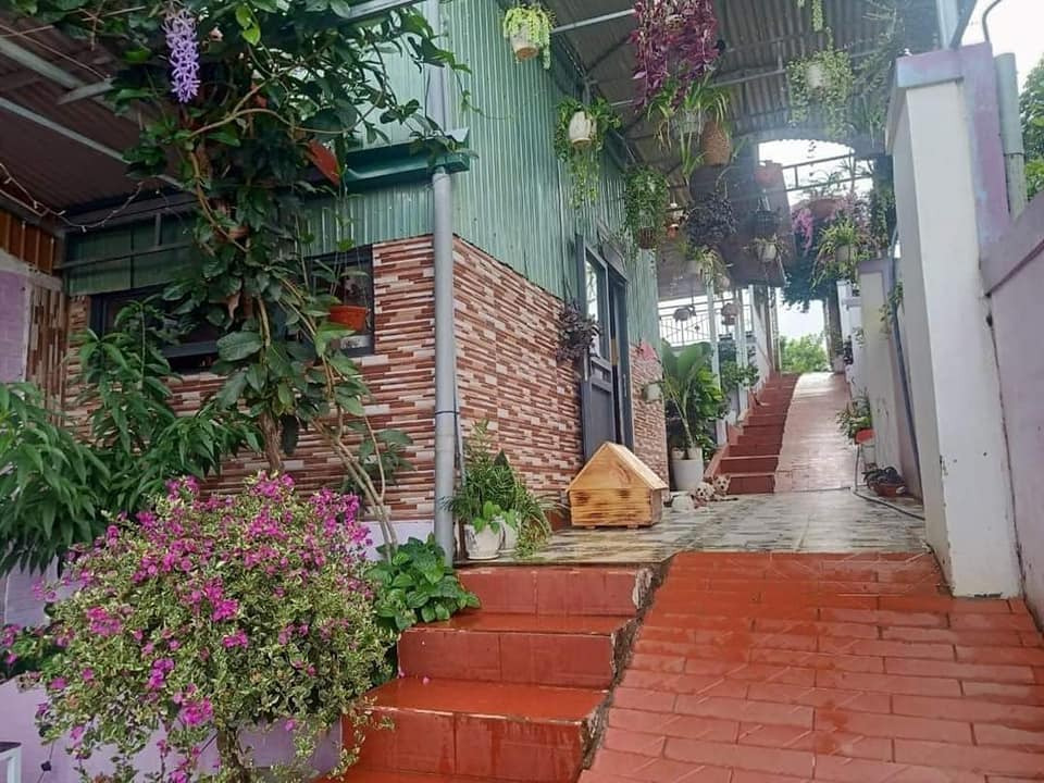 Bán căn hộ dịch vụ - homestay huyện Hóc Môn thành phố Hồ Chí Minh giá 4.5 tỷ-2