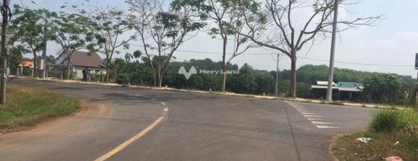 Vị trí mặt tiền tại Hưng Lộc, Đồng Nai bán đất, giá mua liền tay 999 triệu, hướng Đông Nam diện tích thực như trên hình 110m2-02