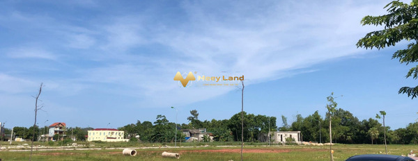 Bán đất tổng diện tích là 110 m2 vị trí tốt ngay Xã Nghi Sơn, Tỉnh Thanh Hóa gọi ngay!-02