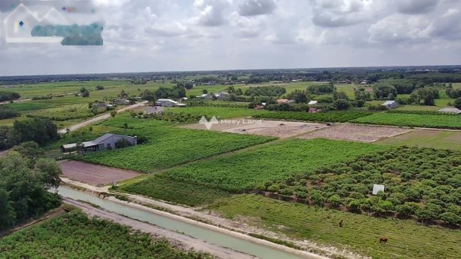 Cắt lỗ bán mảnh đất, 300m2 giá bán hiện tại chỉ 760 triệu vị trí thuận tiện ngay tại Trảng Bàng, Tây Ninh, lộ ngang 5 m giá rẻ bất ngờ-01