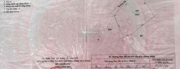 Trảng Bàng, Tây Ninh bán đất giá hợp lý từ 4.14 tỷ diện tích tổng là 1600m2-02