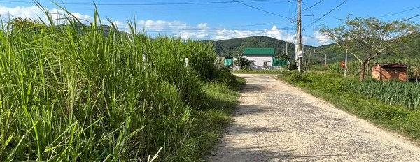 Bán đất Diên Tân giá rẻ có thổ cư giáp suối gần ủy ban xã-03