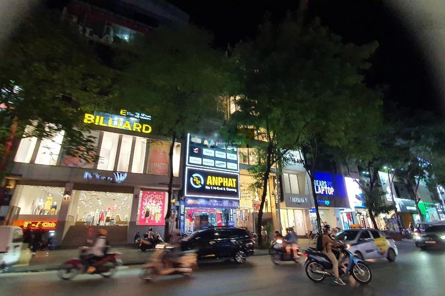 Bán nhà vị trí đẹp tọa lạc gần Điện Biên, Hà Nội bán ngay với giá bàn giao chỉ 24.7 tỷ có diện tích rộng 65m2-01