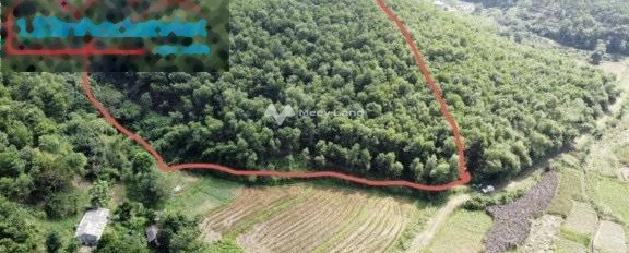 Chính chủ cần bán gấp lô đất rừng có view cánh đồng giá cực rẻ tại Lương Sơn Hòa Bình hỗ trợ pháp lý-03