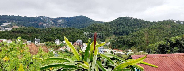 Tại Hoàng Hoa Thám, Đà Lạt cho thuê đất, thuê ngay với giá phải chăng 50 triệu/tháng có diện tích tiêu chuẩn 1100m2-03