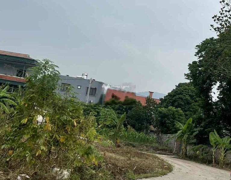 Quang Trung, Uông Bí 990 triệu bán đất có diện tích tiêu chuẩn 1177m2-01