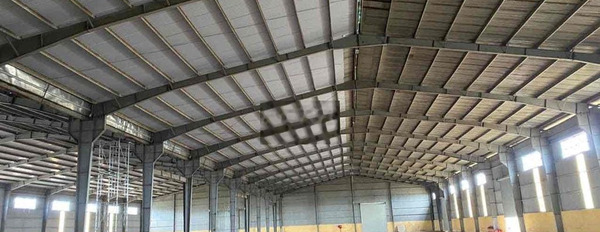 Cho thuê Kho Thời Vụ làm Sầu Riêng - diện tích 20.000m2 KCN Tâm Thắng -02