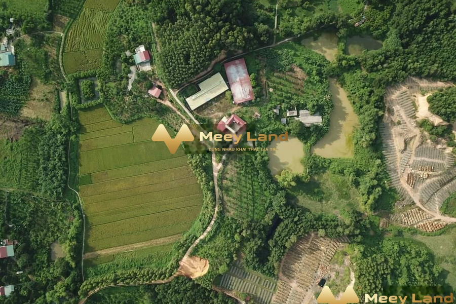 Trang trại có thổ cư sát Quốc Lộ 1A, cách Hà Nội 80km khách có thiện chí liên hệ ngay-01
