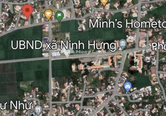 Cực hot bán đất Ninh Hòa, Khánh Hòa giá bán thương mại 1 tỷ diện tích thực 203m2-03