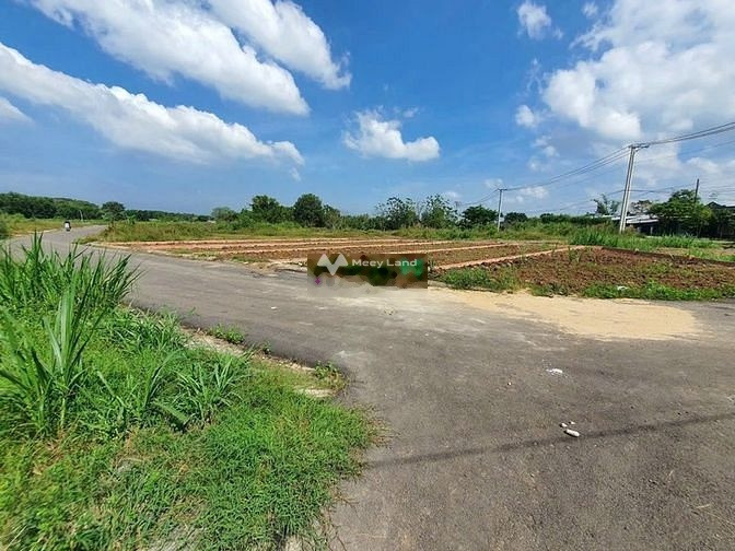 Vị trí thuận lợi nằm trên Sông Trầu, Đồng Nai bán đất giá bán khuyến mãi 880 triệu có diện tích thực 116m2-01