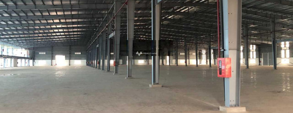 Do dịch bệnh cho thuê kho bãi có diện tích gồm 5100m2 nằm sát mặt tiền 50 mét trong Đường N3, Đồng Nai vị trí thuận lợi-02