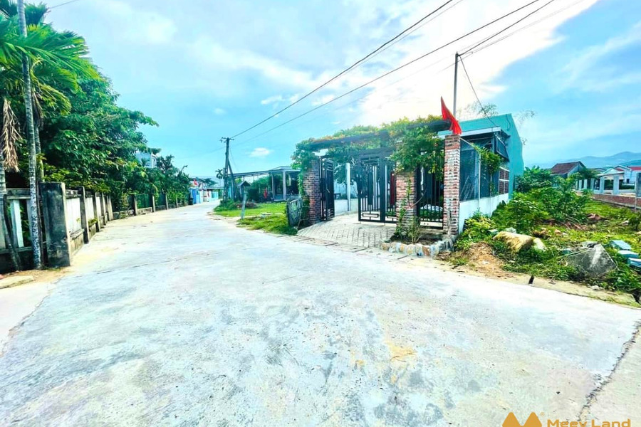 Lô biệt thự nhà vườn 360m2 ngang 17m đấu lưng Nguyễn Tất Thành cách Đà Nẵng 9km-01