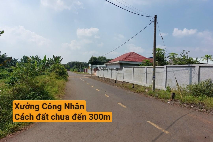 Vị trí mặt tiền tọa lạc ngay tại Dầu Giây, Đồng Nai bán đất, giá êm 599 triệu diện tích như sau 115m2-01