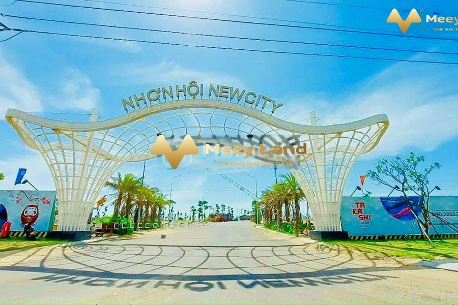 600 triệu bán đất dt tầm trung 80 m2 vị trí thuận lợi tọa lạc tại Xã Nhơn Hội, Quy Nhơn-01