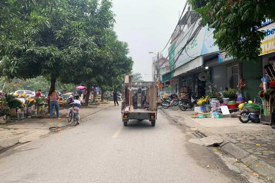 Nằm tại Thạch Bàn, Hà Nội bán đất, giá bán rẻ 24.3 tỷ, hướng Đông - Nam diện tích chuẩn 90m2-01