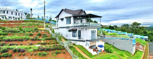 Vị trí thuận lợi nằm trên Sơn Phước, Sơn Hòa bán đất, giá đặc biệt 290 triệu với tổng diện tích 500m2-03