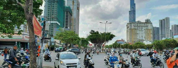Diện tích khoảng 455m2 bán nhà mặt tiền tọa lạc ngay trên Nguyễn Đình Chiểu, Hồ Chí Minh chính chủ đăng tin-03