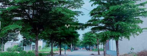 Long Định, Cần Đước 900 triệu bán đất có một diện tích sàn 100m2-02