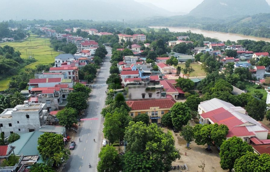 Vị trí thuận lợi tọa lạc ngay Thạch Thành, Thanh Hóa bán đất giá thị trường 100 triệu với diện tích 200m2-01